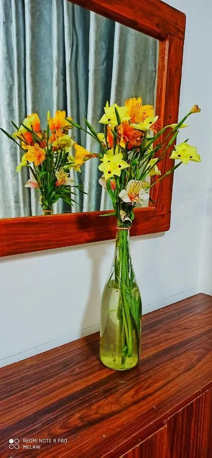 Mount Elegance Apartment Nuwara Eliya 0*,  Sri Lanka